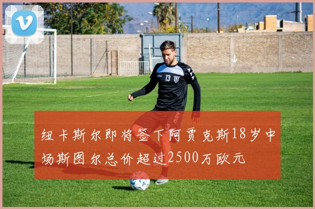 纽卡斯尔即将签下阿贾克斯18岁中场斯图尔总价超过2500万欧元
