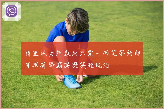 特里认为阿森纳只需一两笔签约即可拥有锋霸实现英超统治